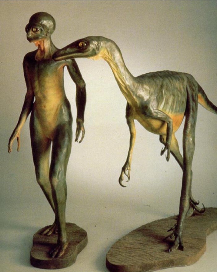 090f5721b856b692954e6e3cb1ab6725