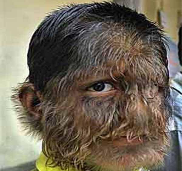 3fe82f8890c1acc098af11886d5f25d4_full