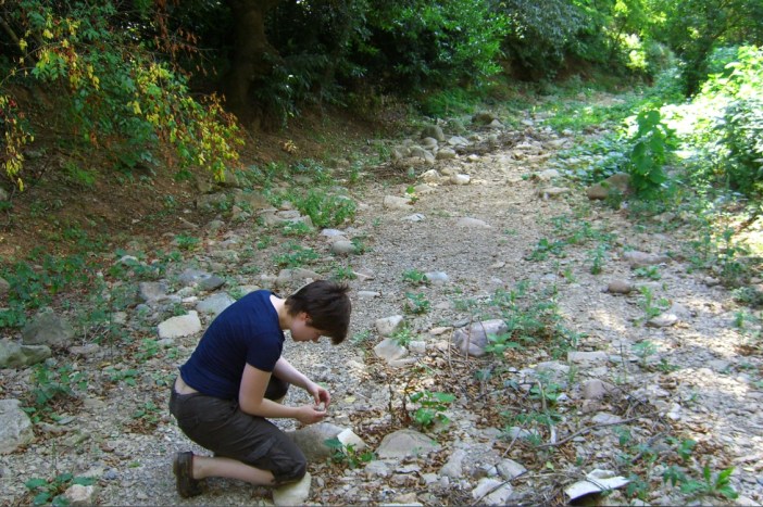 ScreenHunter_12 Jun. 28 03.31